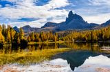 _DSC2425-HDR_vignettes.jpg