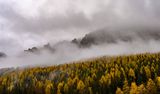 _DSC2543-HDR_vignettes.jpg