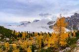 _DSC3055-HDR_vignettes.jpg
