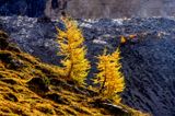 _DSC3649_vignettes.jpg