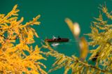 _DSC3859_vignettes.jpg