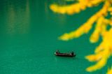 _DSC3867_vignettes.jpg