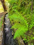 IMG_5271_vignettes.jpg