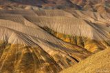 _DSC0499_vignettes.jpg