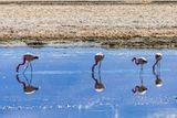 _DSC0635_vignettes.jpg