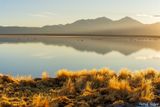 _DSC1053_vignettes.jpg