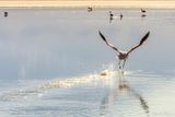 _DSC1095_vignettes.jpg