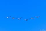 _DSC1607_vignettes.jpg
