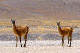 _DSC1722_vignettes-2.jpg