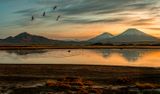 _DSC1980-Avec accentuation-Bruit-Modifier-SR_vignettes-2.jpg