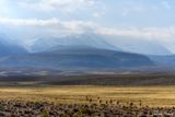 _DSC2045_vignettes.jpg