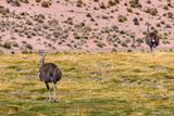 _DSC2428_vignettes.jpg
