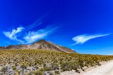 _DSC2677_vignettes.jpg