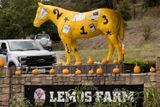 9/20/2022  Lemos Farm Painted Horse