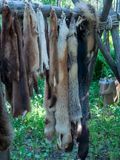 Furs at Fort William