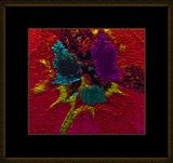 f.o.m.-Sandbox-1720.jpg