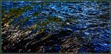 13 = IMG_0071 = Abstract in a River 12.jpg