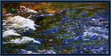 356 = IMG_0229 = Abstract in a River 17.jpg
