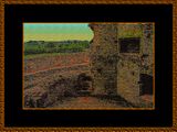 320 = RAGLAN_CASTLE_131.jpg