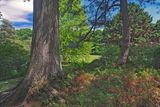 Wickham Park