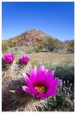IMG_1248_00_1.jpg