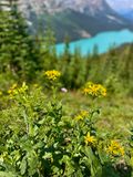IMG_2789.jpeg