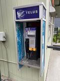 IMG_2977.jpeg