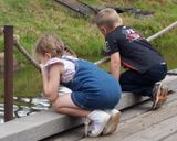 Children watching turtles