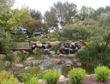 Japanese Garden