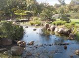 Japanese Garden