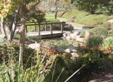 Japanese Garden