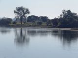 McLeay River