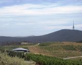  Canberra Arboretum, Telstra Tower on Black Mountain