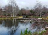 Water Gardens