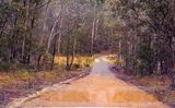 Road to Yerranderie