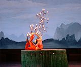 Circus contortionist