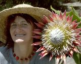 Prue and Protea