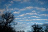 150113_501w.JPG