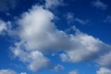 230226_013w.JPG