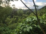 Le paysage qui soffre  nous de notre chambre