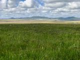 Les llanos