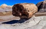 Petrified log sits on an eroded pedestal along the Blue Mesa Trail in Petrified Forest NP