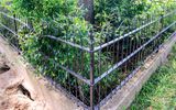 Remains of a prisoner tunnel in Andersonville NHS