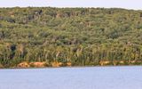 Trees covering Oak Island, tallest of the islands, in Apostle Islands NL