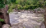 View of the rapids from the shore of the St. Croix River in St. Croix NSR