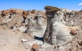 Hard cap rock hoodoos in the Bisti Wilderness