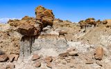 Hard cap rock hoodoos in the Bisti Wilderness
