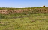 Collapsed fort walls and the monument at Bents New Fort along the Santa Fe Trail