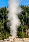 Steam rises from Old Faithful in the Upper Geyser Basin in Yellowstone NP