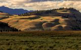 Sunlight and shadows create a stunning landscape in Yellowstone NP